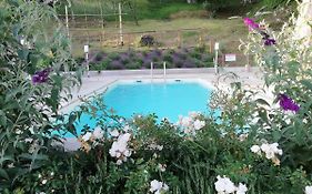 Bed And Breakfast Alle Vignole