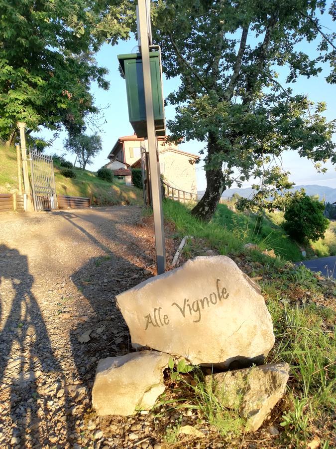 Alle Vignole Bed and Breakfast Coreglia Antelminelli Esterno foto